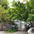 꿈길속에펜션 이미지