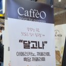 카페오 이미지