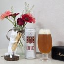 GS25 성반석점 | GS25 편의점 맥주 OBC 라거 비엔나 OBC 라거 헬레스 가격 맛 후기