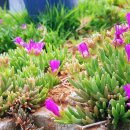 하울펜션 이미지