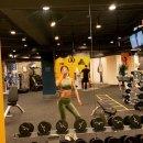 짐아서 휘트니스 이미지