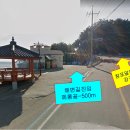 메롱골 Daum카페