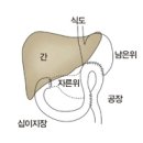 위 이미지