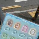 데이식스콘서트가는척대전여행