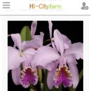 종명농장 이미지