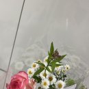 ✿˘◡˘✿ #10. 설렘매력주의보 촬영 후기 (feat. 클라우디아 &amp; 에이바이봄 &amp; 아름보다 헤어변형)