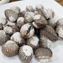 원조홍교꼬막회관 이미지