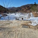 천안캠핑 : 노키즈 달꿈오토캠핑장 A2 사이트 내돈내산후기