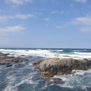 포항바다화석박물관 이미지