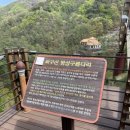 구름다리농장 이미지