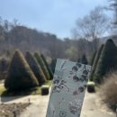 살롱제이드 | 춘천 대형 카페 살롱 제이드 카페의 산책로! 제이드가든 후기, 춘천 산책 코스 맛집