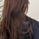 다옴드라이 네이버블로그