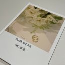대구 AW호텔 오스카홀 갓성비 본식 스냅 디모멘트 스토리 후기,