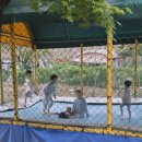 유식물원 | 포천 유식물원 캠핑장 스페셜 글램핑! 비오는 날 고즈넉한 가족여행 후기