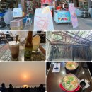 천냥백화점 | 3/20~26 [대만/타이난] 타이난 여행 3일차-2 [상견니 꽈배기집!!/카페 Anping tree house/위광도(漁光島...
