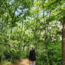 야시골공원 이미지