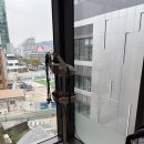 오드헤어