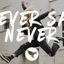 Draper - Never Say Never (feat. Hannah Jane Lewis) 이미지