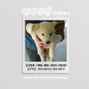 신흥천 이미지