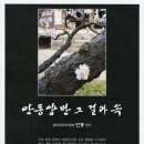 안동양반 Daum카페