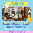 강아지미용실502 이미지