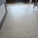 도기도기 이미지