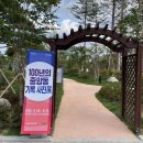 중앙동100 이미지