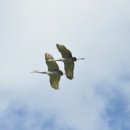 더한의원 이미지