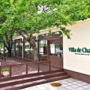 예술이네 이미지