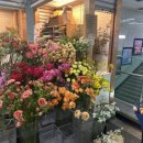 해뜨는청과 2호점 | [화월청과 서초점]양가 첫인사 선물 내돈내산 솔직 후기(feat.블레스드플라워마켓)