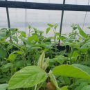 달밭농장 이미지