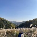 밤까시목장 | [경기광주_라까시나이태리] 한적한 캠크닉 가능한 라까시나이태리 방문후기(ft .내돈내산, 시설)