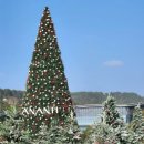 빌라쥬드 아난티 빌라동 이미지