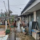 새시장길 1 이미지