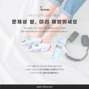 레푸스 범어점 이미지