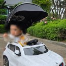 [내돈내산] 파파야나인 BMW 푸쉬카 후기, 장점과 단점