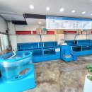 정동진회도매수산식당 이미지