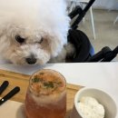 디엠씨(DMC) 이미지