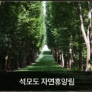 리안가구 이미지
