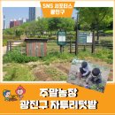 광진농장 이미지