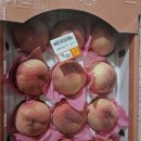 GS사직점 이미지