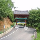고성장의사