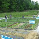 온천농장 이미지