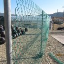 정근농장 이미지