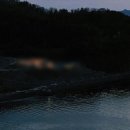 블루엔화이트