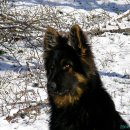 유기농장 이미지