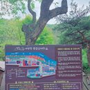 무릉도원 | 부산근교 양산무릉도원캠핑장 솔직후기