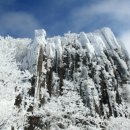 01-27 동구 이미지