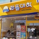 와플대학 이미지