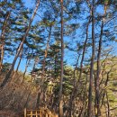 만수산자연휴양림 이미지